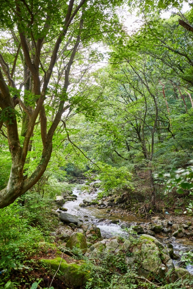 [全北] 母岳山道立公園（모악산도립공원）