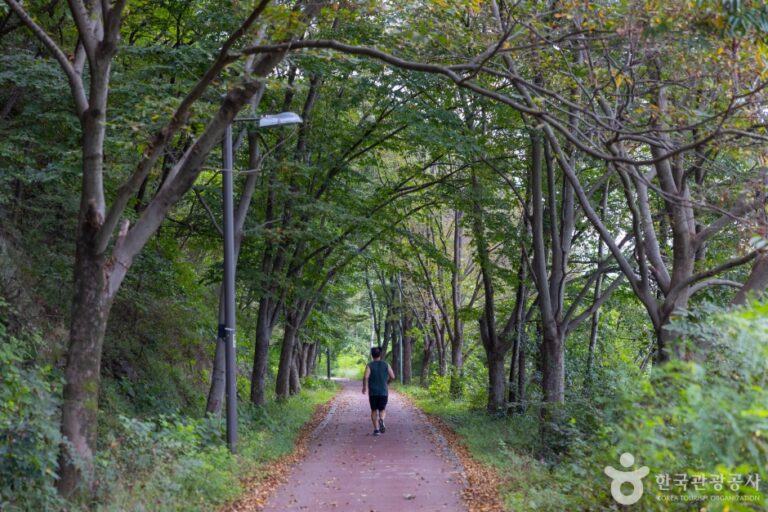 [全北] パラムセェヌンギル（바람쐬는길）