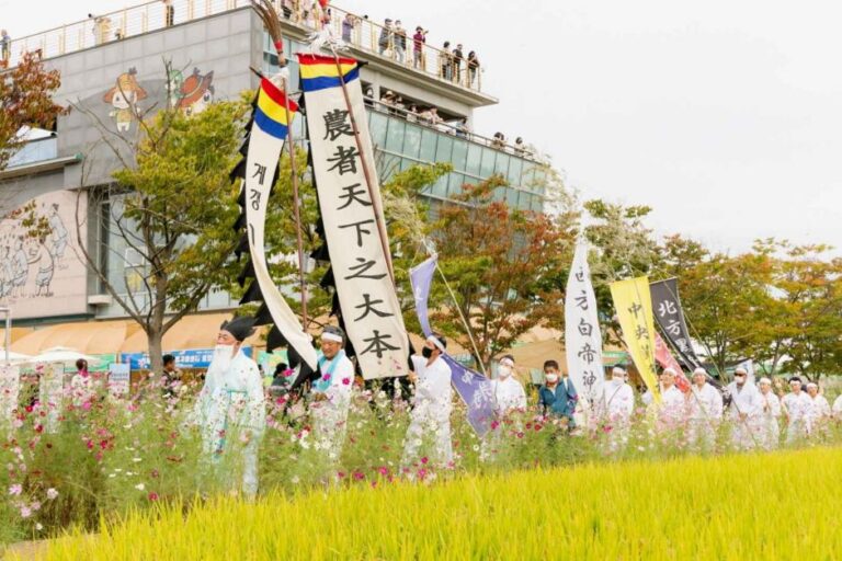 [全北] 金堤地平線祭り（김제지평선축제）