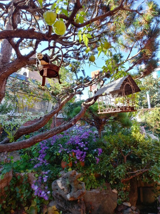 [全北] いい日（좋은날）