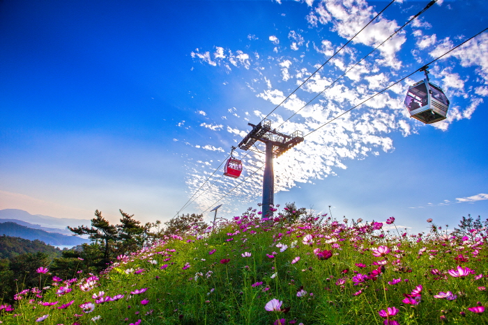 [全羅南道] 木浦海上ケーブルカー（목포 해상케이블카）