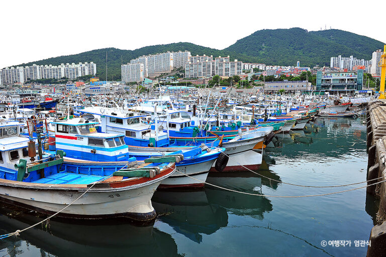 [全羅南道] 菊洞港（국동항）
