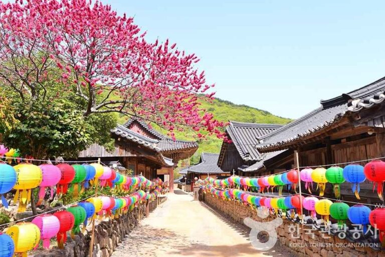 [全羅南道] 曹渓山道立公園（조계산도립공원）