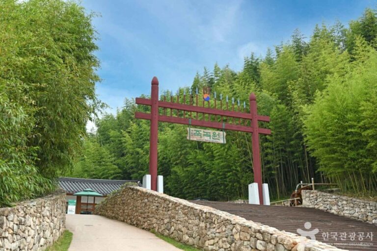 [全羅南道] 竹緑苑（죽녹원）