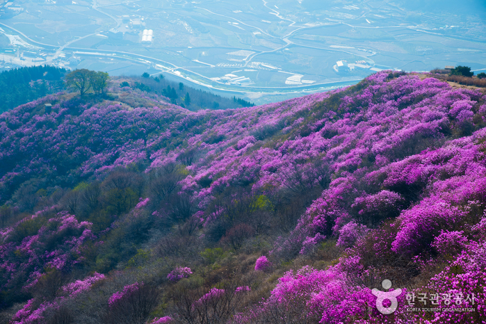 [全羅南道] 霊鷲山（麗水）（영취산（여수））