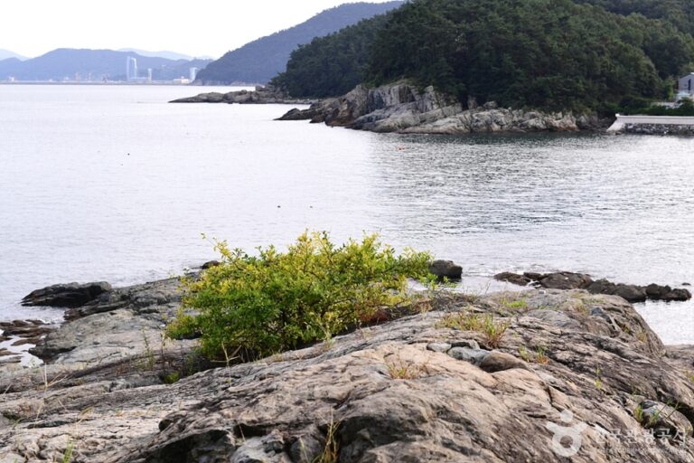 [全羅南道] モサグム海水浴場（모사금해수욕장）