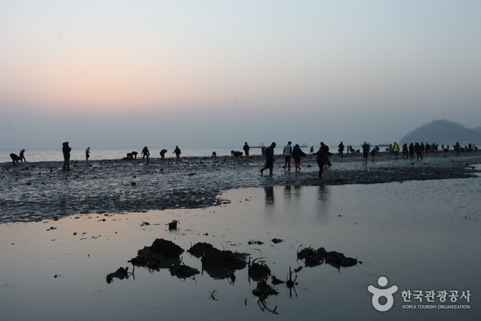 [全羅南道] 珍島神秘の海割れ(진도 신비의 바닷길)