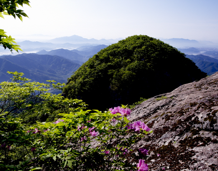 [全羅南道] 白雲山（光陽）（백운산（광양））
