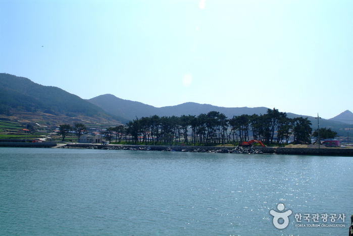[全羅南道] 新興海水浴場（신흥해수욕장）