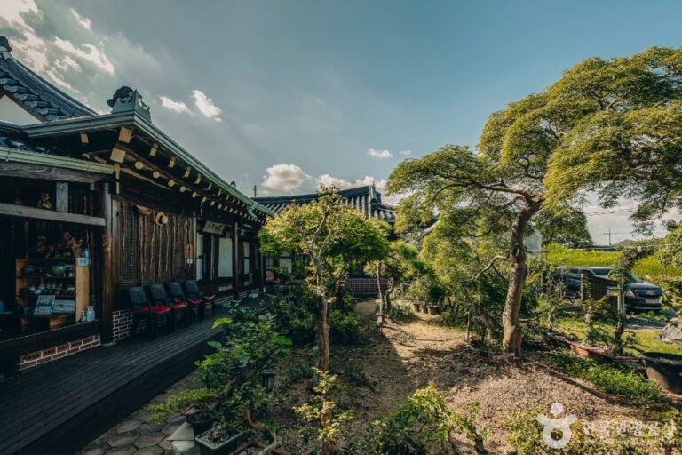 [全羅南道] 巨木荘民宿（거목장민박）