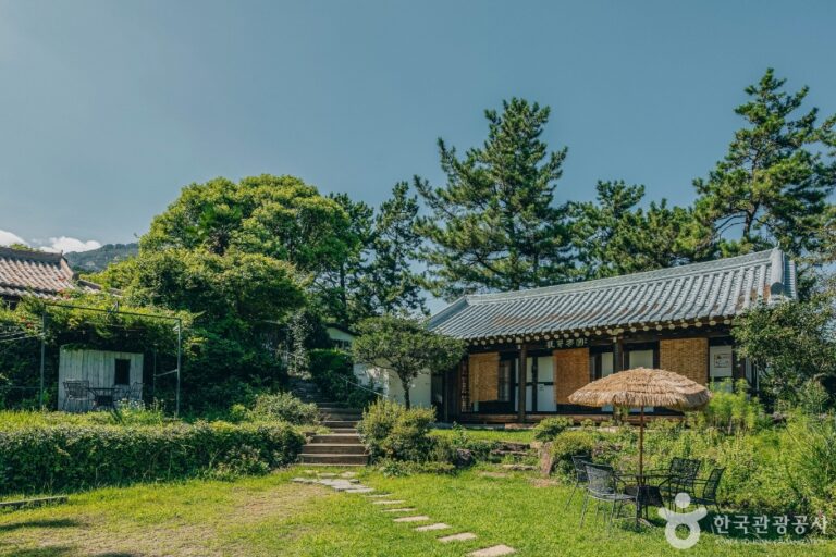 [全羅南道] 薛芽茶園（설아다원）