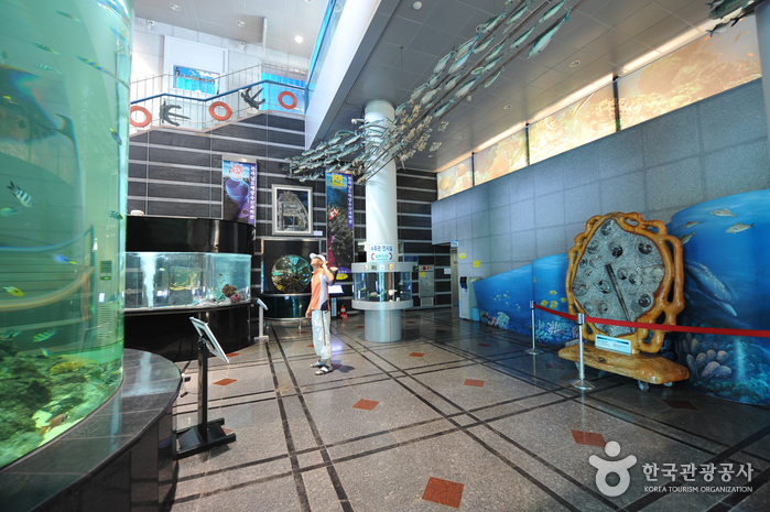 [全羅南道] 全羅南道海洋水産科学館（전라남도해양수산과학관）