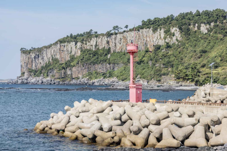 [済州] パクスギジョン（박수기정）