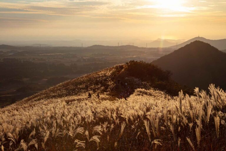 [済州] セビョルオルム（새별오름）