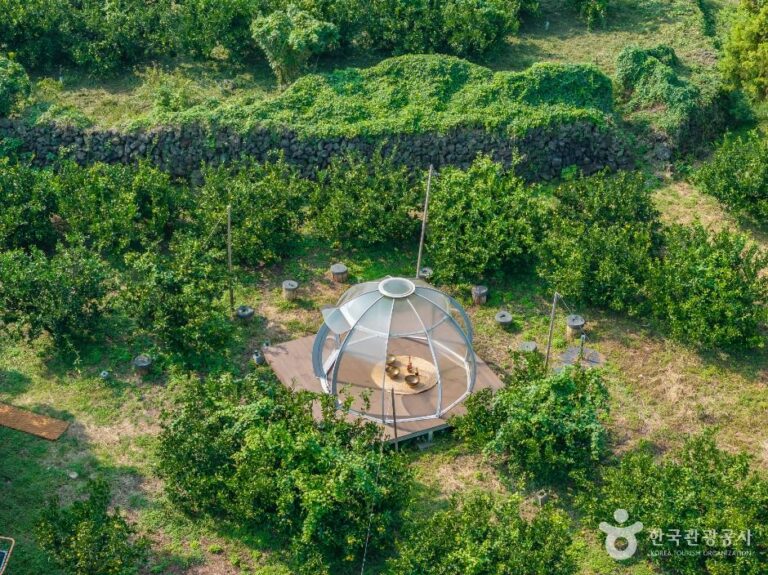 [済州] チェウォンハヌル農園 (제원하늘농원)
