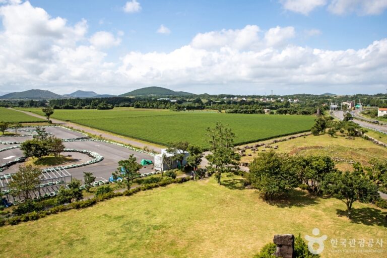 [済州] 城邑緑茶村（성읍녹차마을）