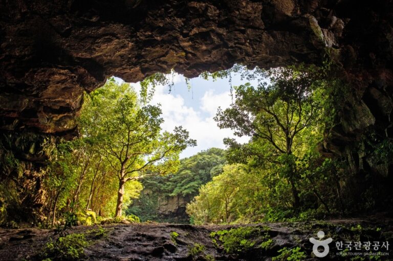 [済州] 城邑緑茶洞窟（성읍녹차동굴）