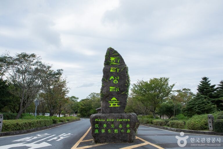 [済州] 漢拏生態森（한라생태숲）