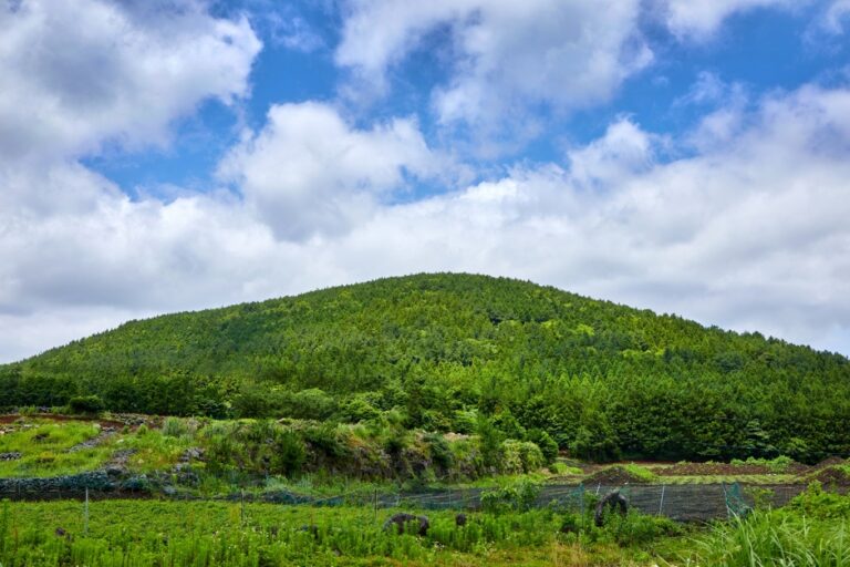 [済州] トッオルム（側火山）（돛오름（돝오름））