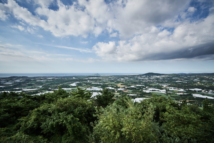 [済州] 楮旨オルム（タクムルオルム、セオルム）（저지오름（닥몰오름,새오름））