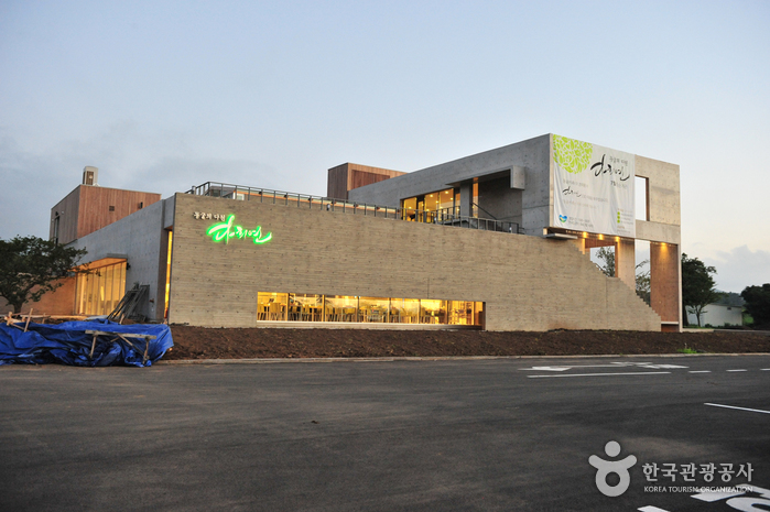 [済州] 茶喜然（다희연）