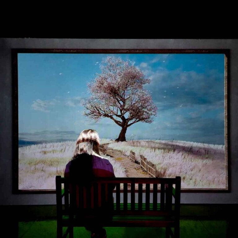 [済州] JEJU HOLIC MUSEUM（제주홀릭뮤지엄）