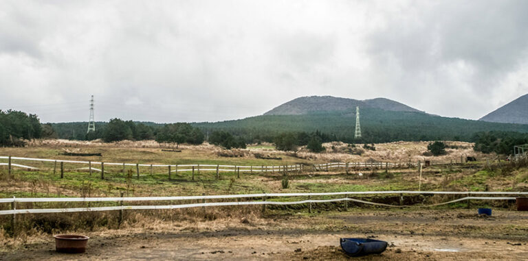 [済州] チョグンノコメオルム（족은노꼬메오름）