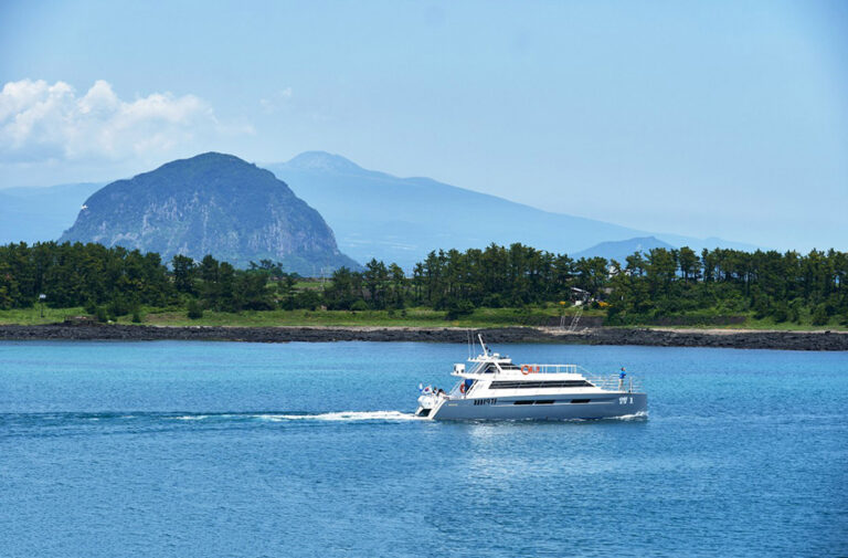 [済州] M1971ヨットツアー（M1971요트투어）