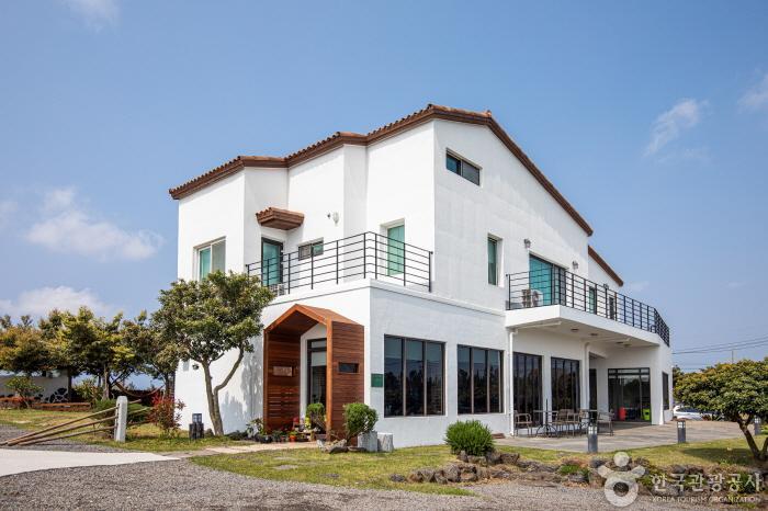 [済州] ティルダハウス(틸다하우스)