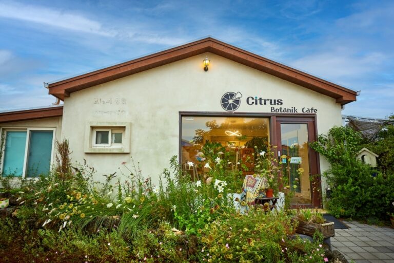 [済州] シトラスガーデニングカフェ（시트러스 가드닝 카페）