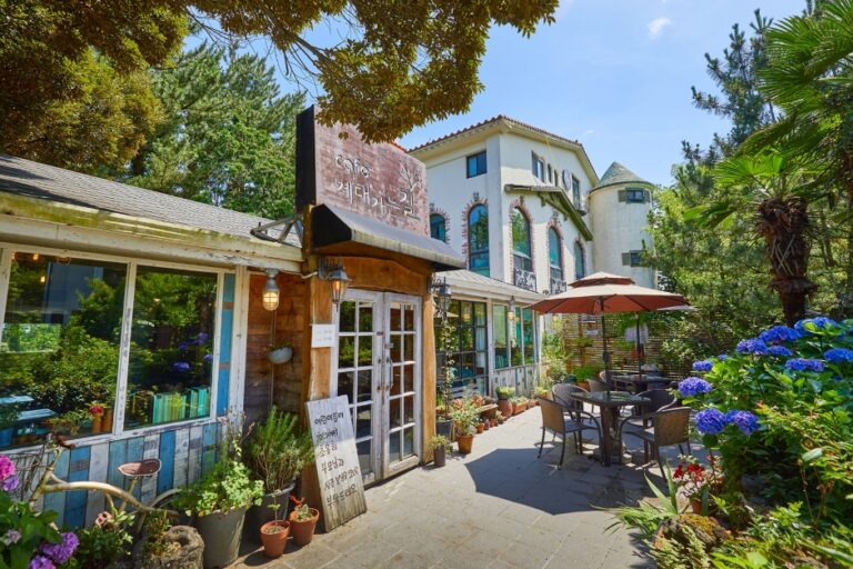 [済州] チェデガヌンギル（제대가는길）